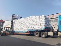 把握機遇、鉚足干勁、承勢而上