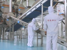 2025年的第一個月，承德亞歐果仁有限公司在山杏產(chǎn)業(yè)的道路上持續(xù)奮進，展現(xiàn)出蓬勃的發(fā)展活力。